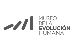 Museo Evolución Humana