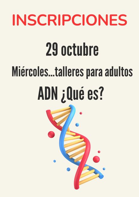adn