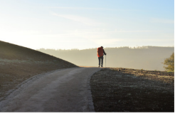 Imagen ISTEMA DE INTELIGENCIA TURÍSTICA DEL CAMINO DE SANTIAGO. CAMINO FRANCÉS