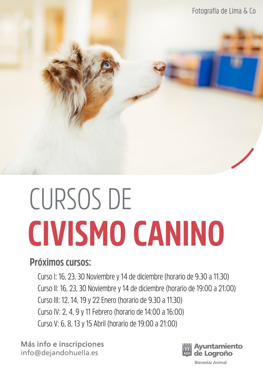 Cartel cursos de Civismo canino