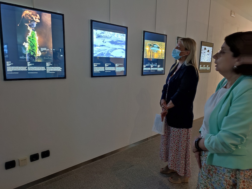 20220705_Expo_BeatrizNalda_DoloresFernández