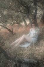 GetAttachmentThumbnail