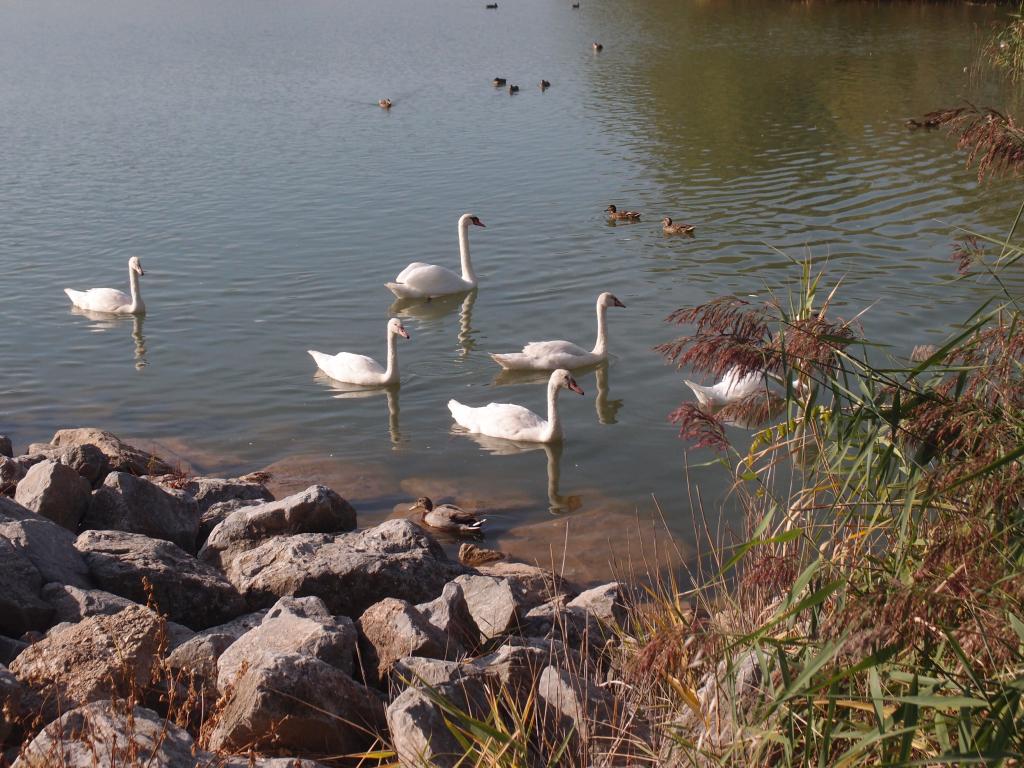 Parque La Grajera - copia
