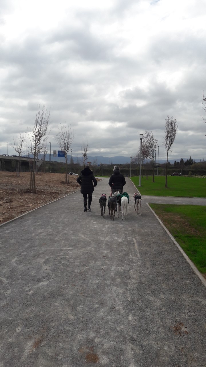 Perros