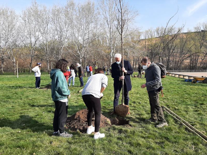 Plantación alcalde IES_1