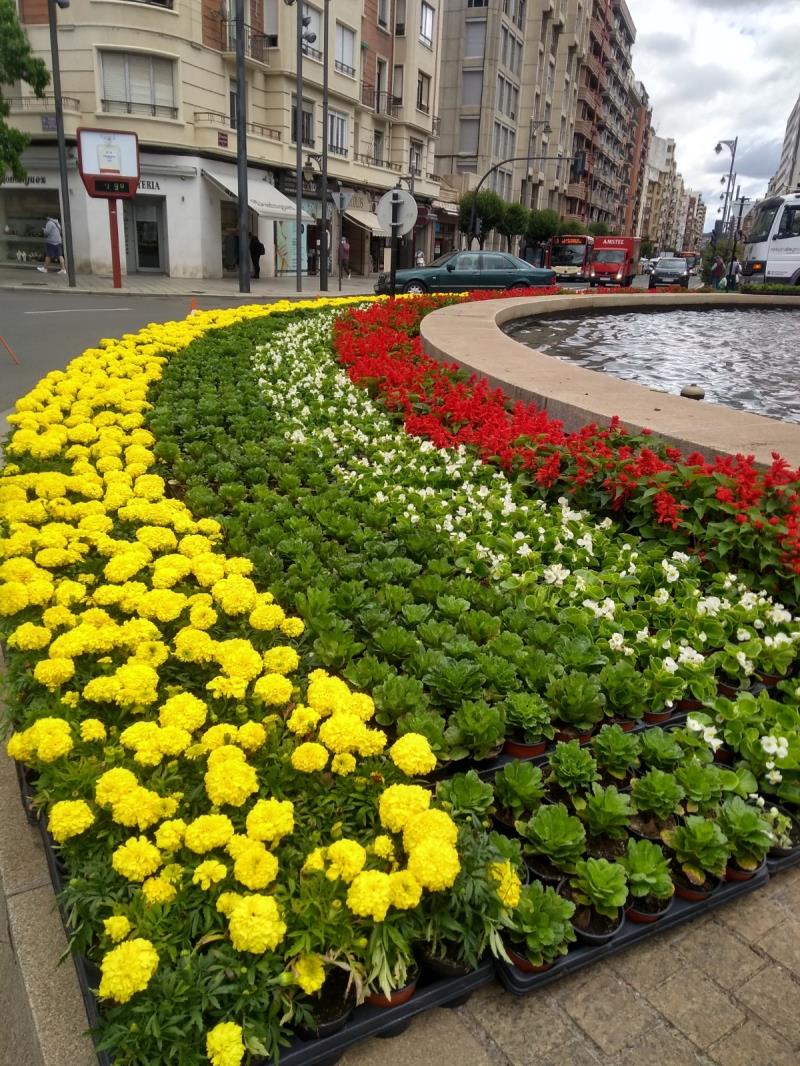 Plantas bandera Rioja