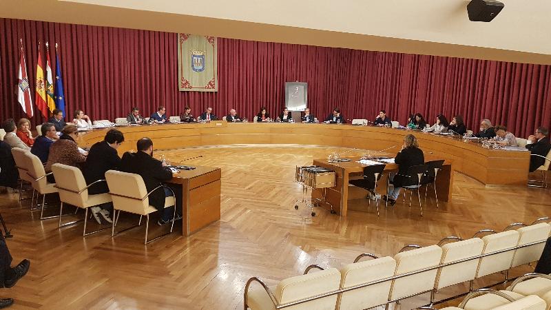 Pleno Extraordinario Peri