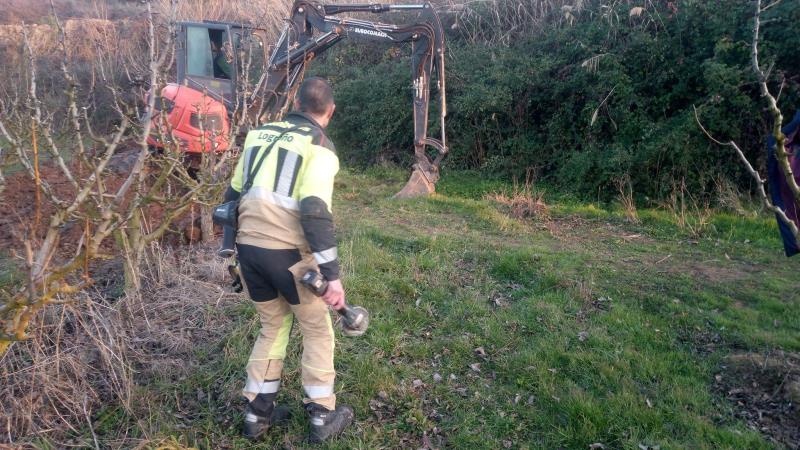 Rescate perros_1
