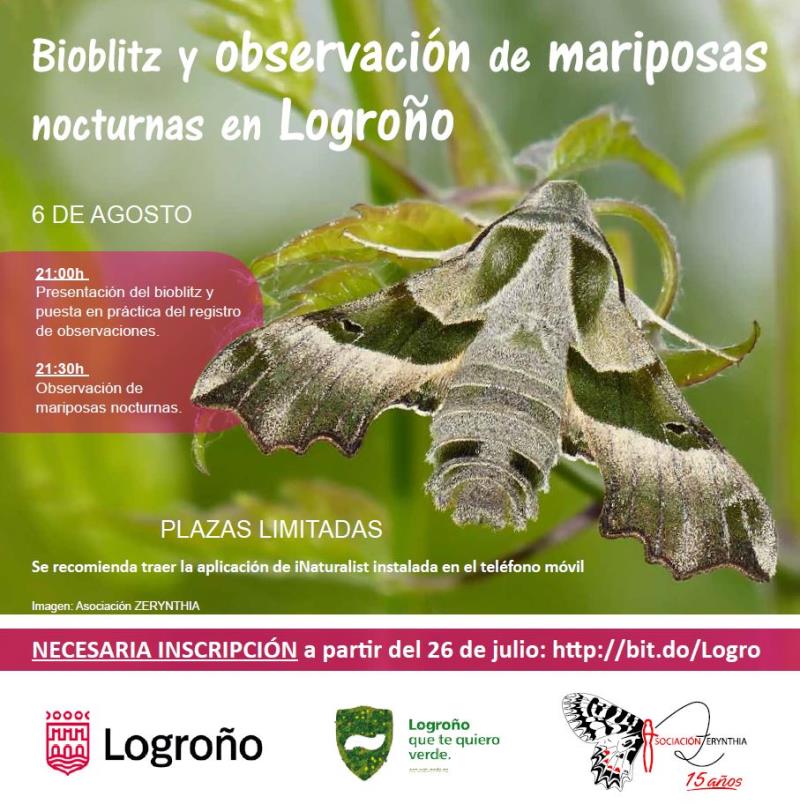 cartel Zerynthia