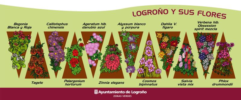 cartel doce plantas verano_page-0001