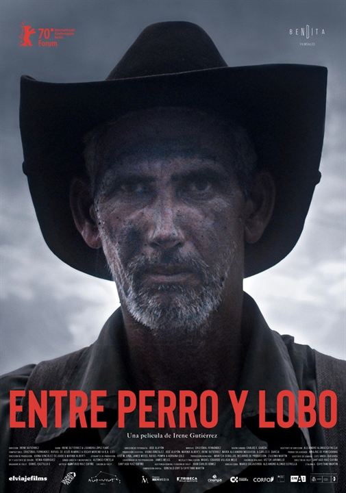 catel Entre perro y lobo