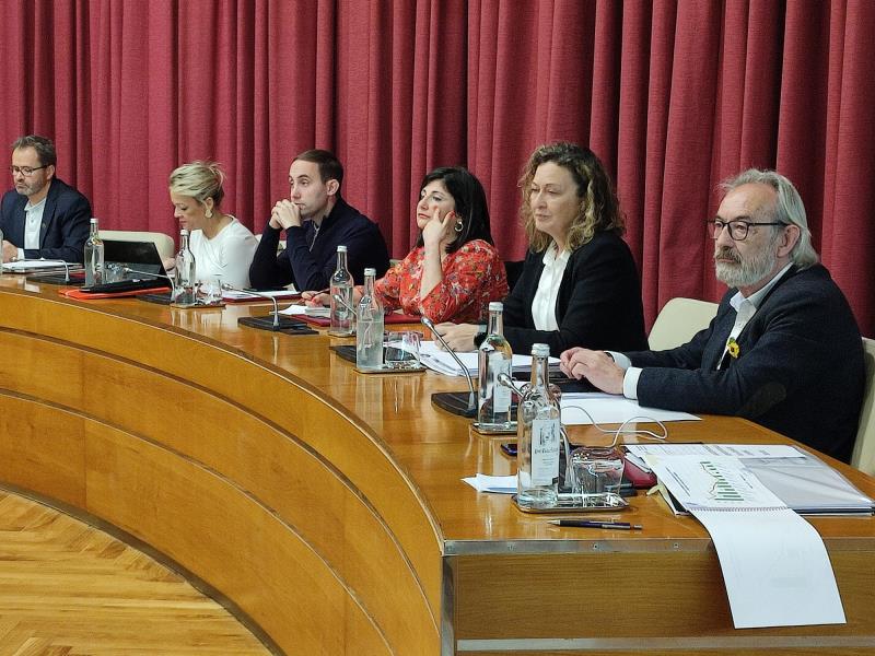 pleno 2