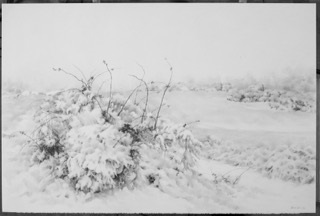 thumbnail_r castellot 37