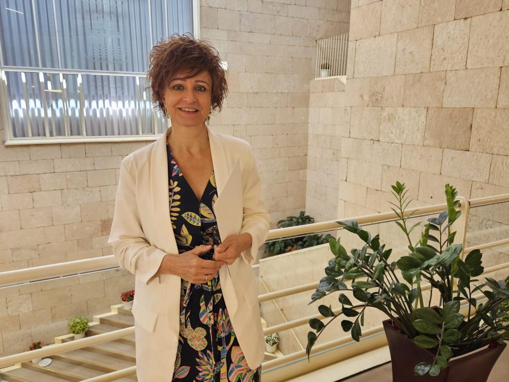 Celia Sanz, portavoz del equipo de Gobierno