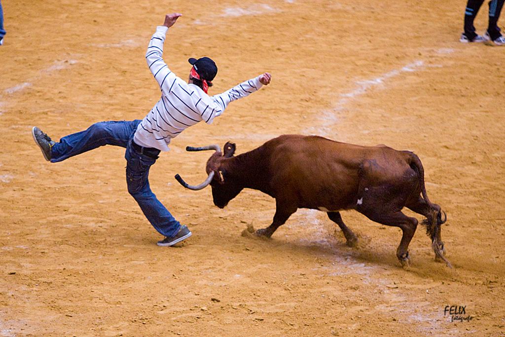 Imagen Logroño amplía los días programados para las vaquillas en las fiestas de San Mateo