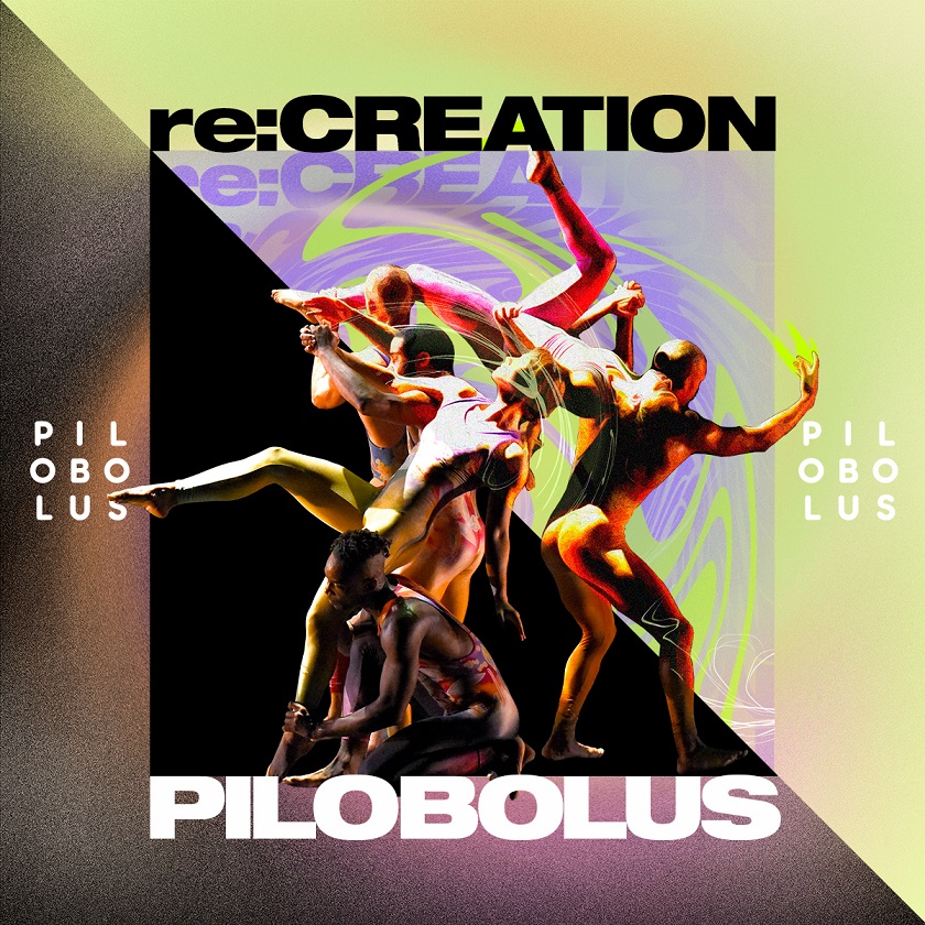 Cartel Pilobolus