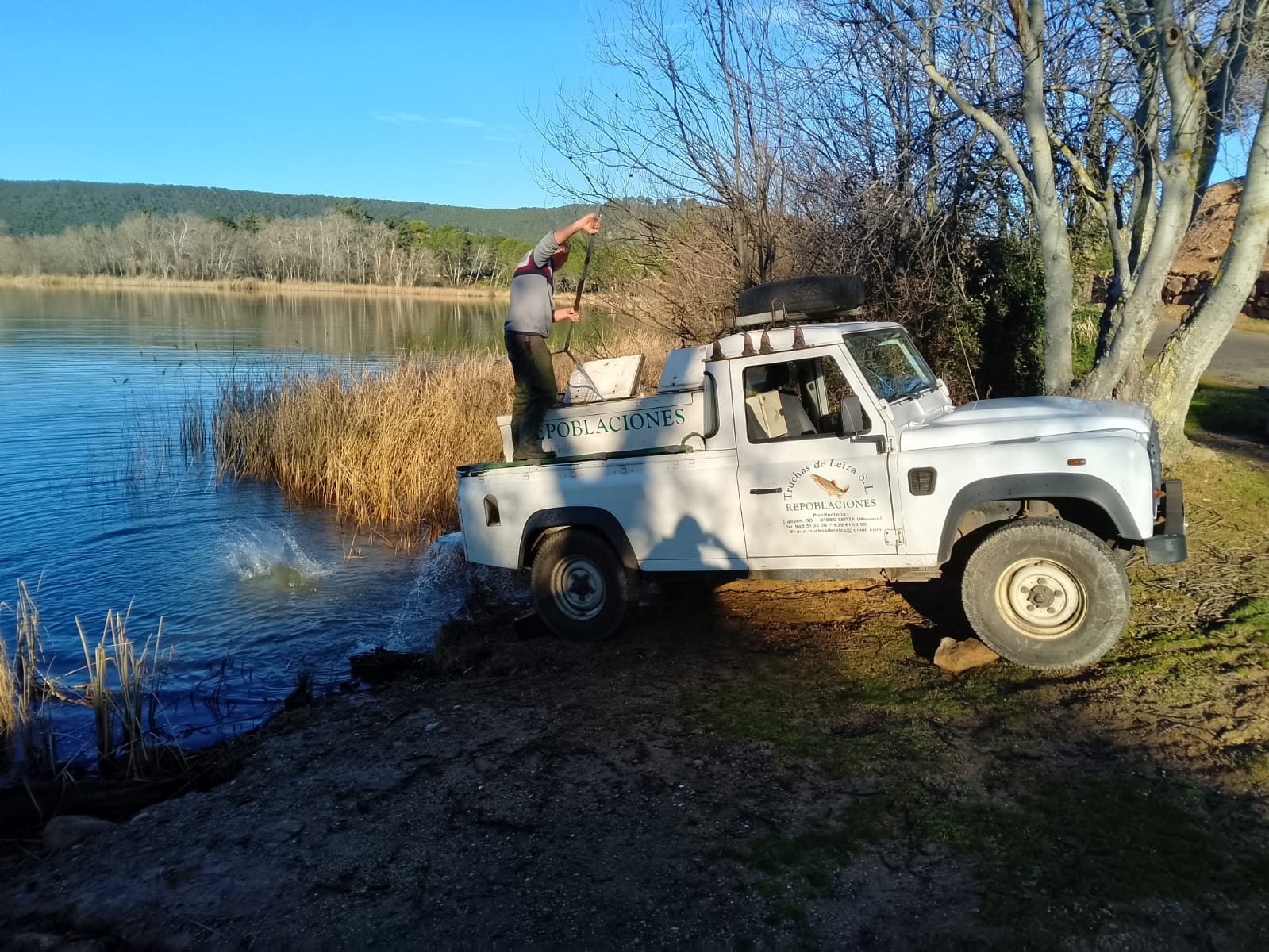 Imagen El Ayuntamiento de Logroño repuebla el embalse de La Grajera con 425 kilos de truchas