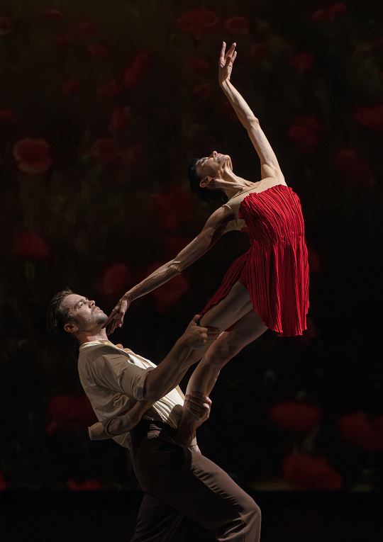 Imagen Danza, teatro y un espectáculo familiar en el Teatro Bretón este fin de semana