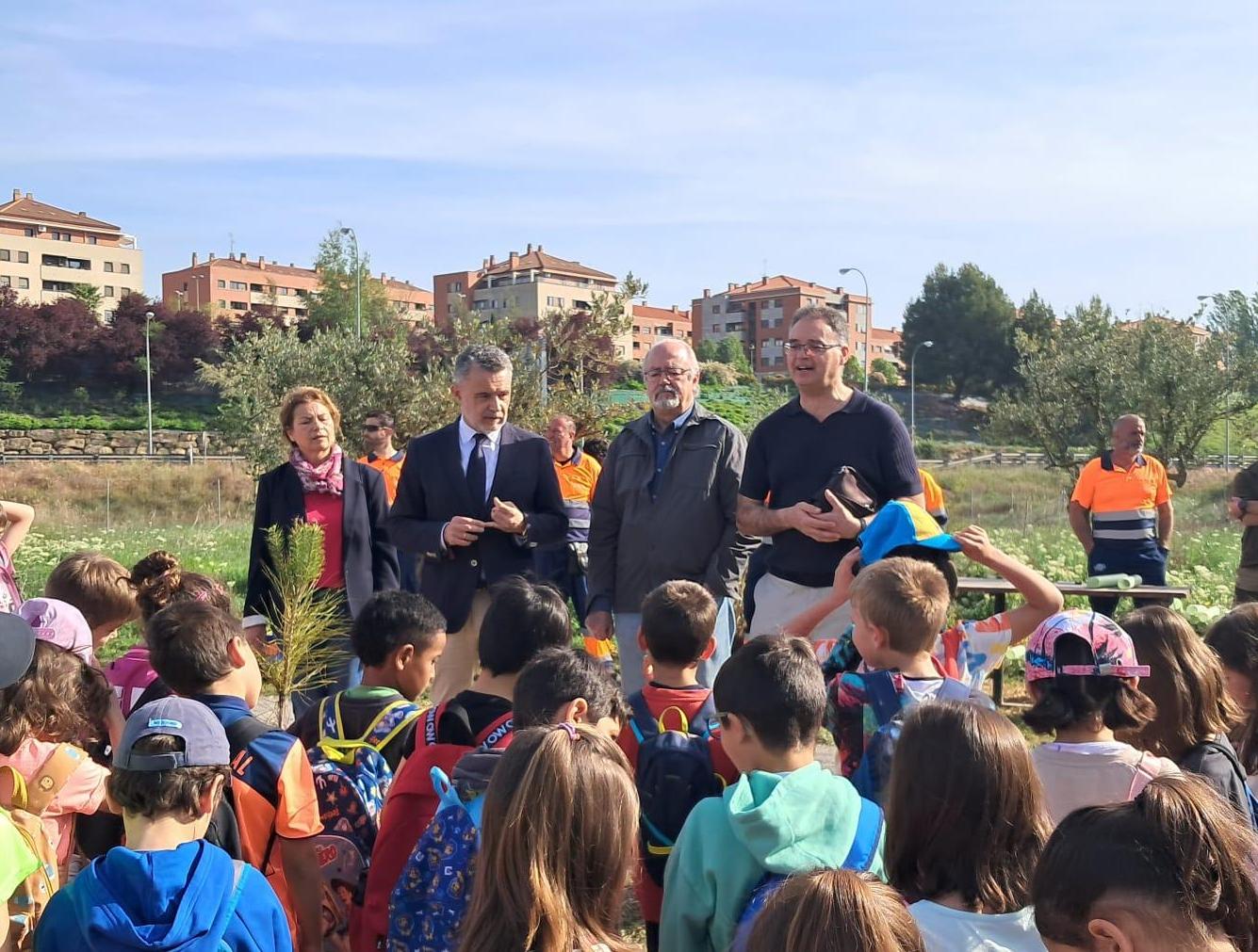 Plantación de árboles