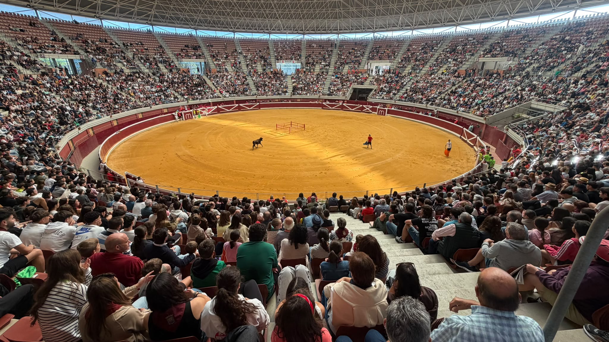 Vaquillas