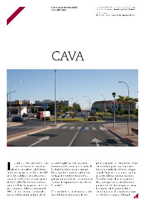 CAVA.png