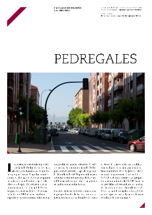 PEDREGALES.png