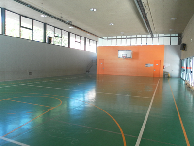 Polideportivo municipal Siete infantes