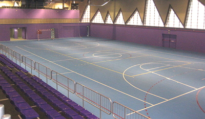 Imagen Polideportivo municipal Valdegastea