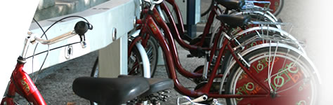 Fotos con varias bicicletas 